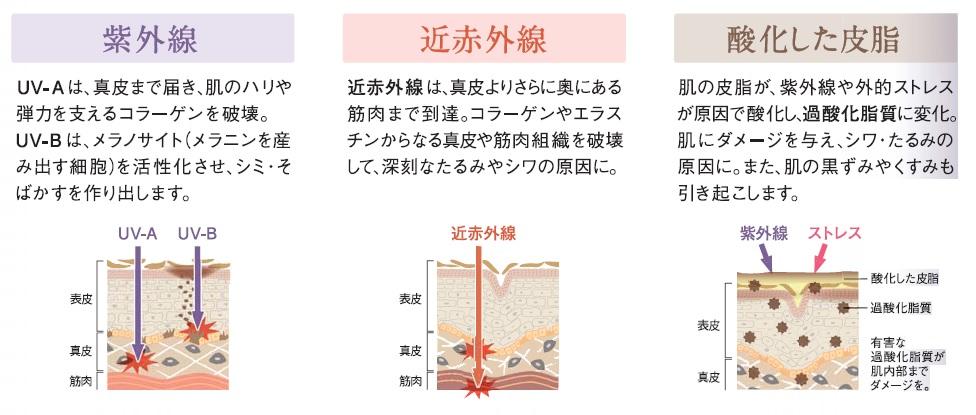 新 光ダメージ に着目した高機能ｕｖ乳液 光対策プロテクトｕｖ が Coyori から 16年4月日 水 新発売 Jimos ジモス